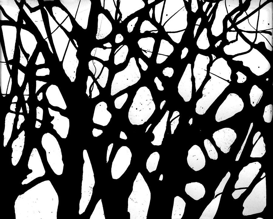 Silhouetten der Zweige | 2020 | Tusche auf Papier | 20 x 25cm